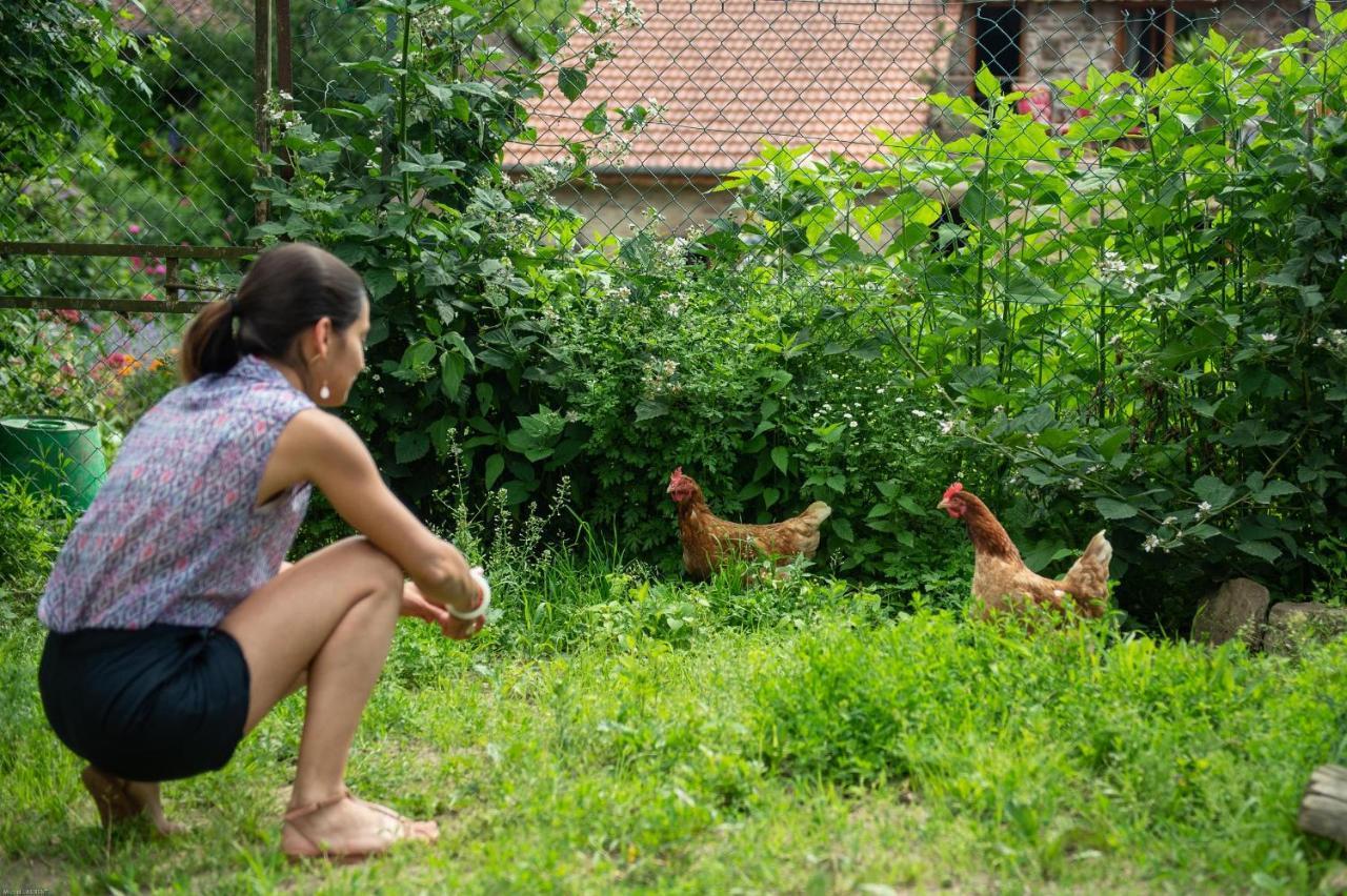 Bed & Breakfast Les D'hotes De Laurette
